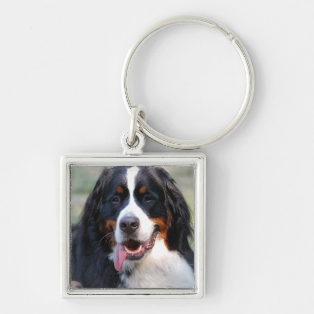 Bernese Mountain Dog with Big Tongue Keychain (Front)
