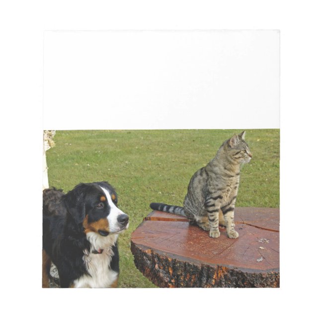 bernese mountain dog with cat notepad (Front)