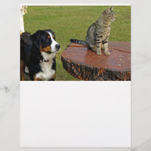 bernese mountain dog with cat scrapbook paper