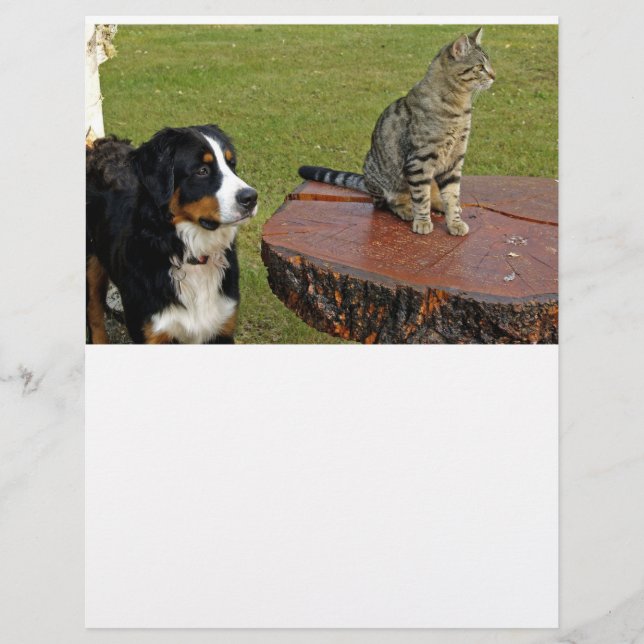 bernese mountain dog with cat scrapbook paper (Front)