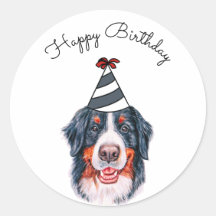 Bernese Mountain Dog with Party Hat