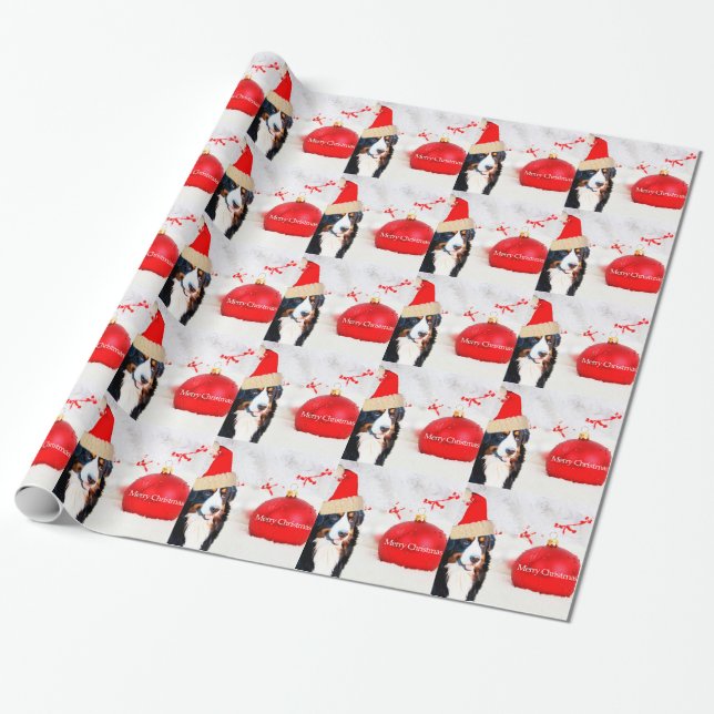 Bernese Mountain Dog with red Christmas Ornament Wrapping Paper (Unrolled)