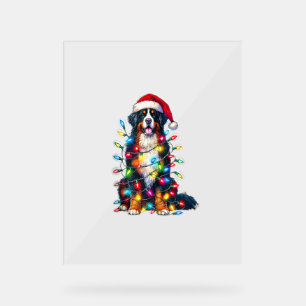Bernese Mountain Dog x Christmas Lights  Acrylic Sign
