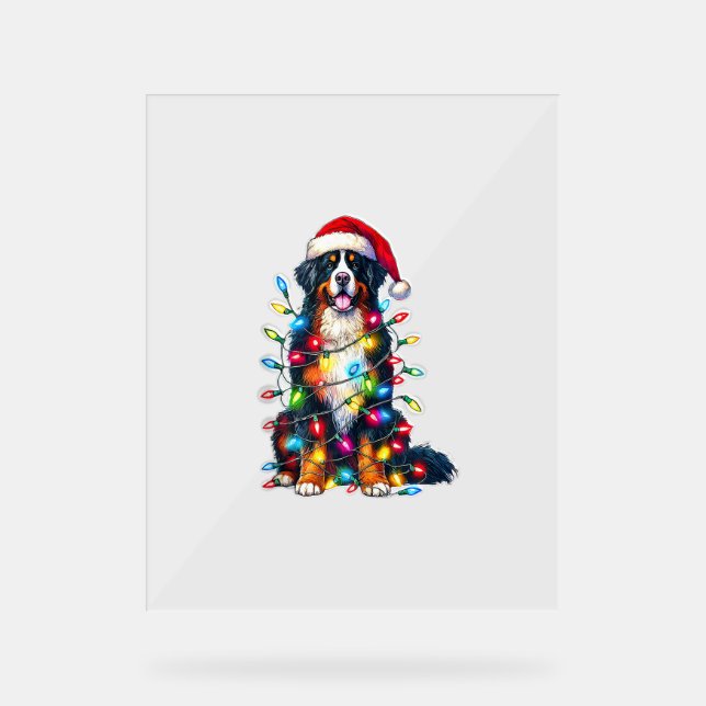 Bernese Mountain Dog x Christmas Lights  Acrylic Sign (Front)