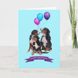 Bernese Mountain Dogs Happy Birthday Greeting Card