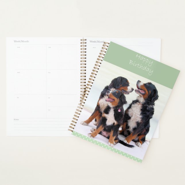Bernese Mountain Dogs Happy Birthday Planner (Display)