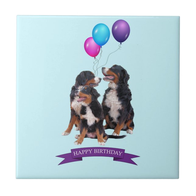Bernese Mountain Dogs Happy Birthday Tile (Front)