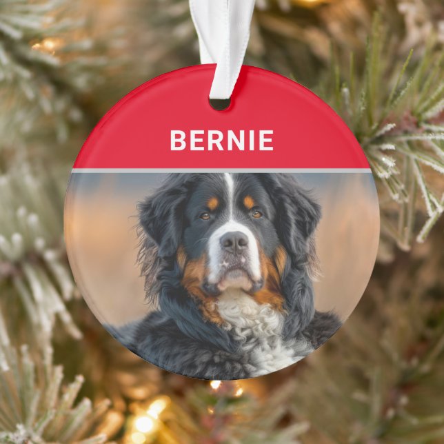 Bernese Mountain Dog's Name and Photo Christmas Ornament (Tree)