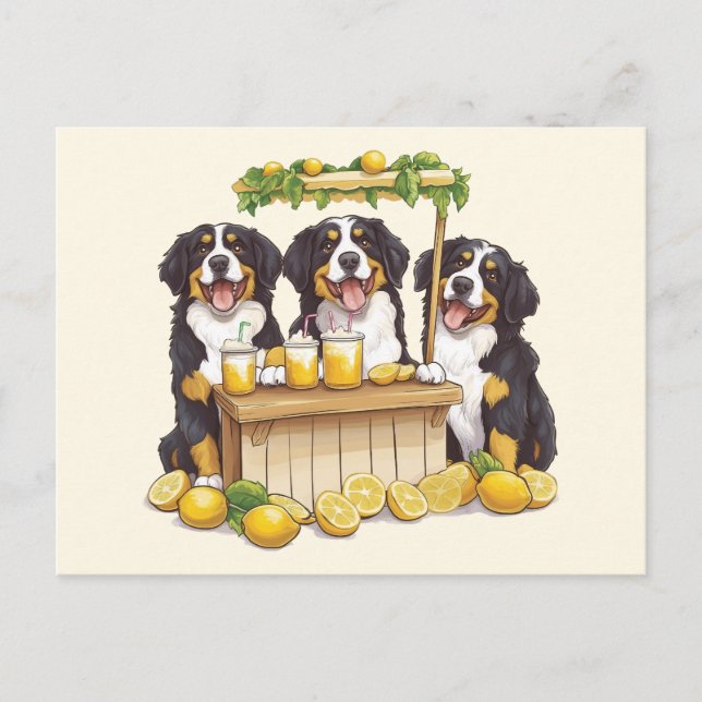 Bernese Mountain Dogs Running A Lemonade Stand Postcard (Front)