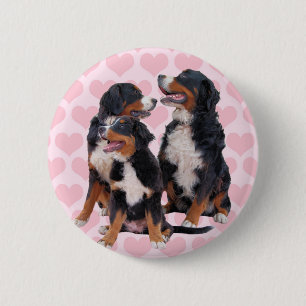 Bernese Mountain Dogs with Pink Hearts 6 Cm Round Badge