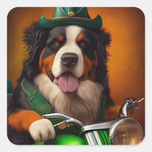 Bernese Mountain Driving Bike St. Patrick's Day Square Sticker