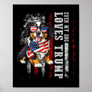Bernese Mountain Even My Dog Loves Trump Funny Poster