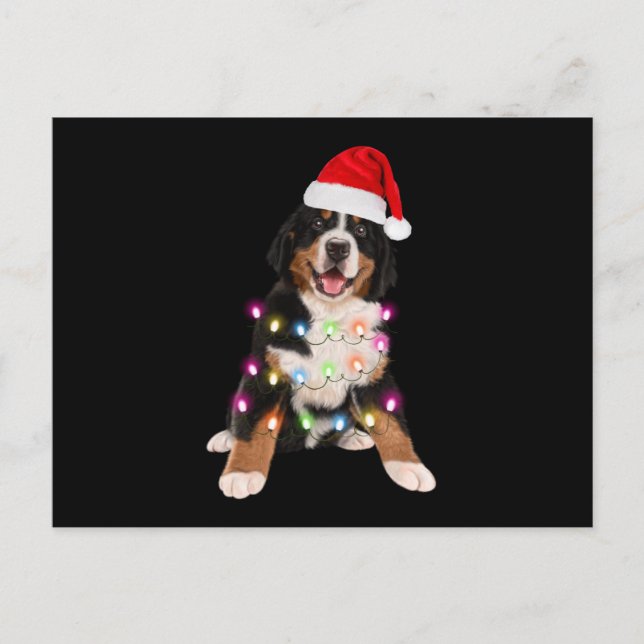 bernese mountain puppy christmas gift postcard (Front)