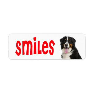 Bernese Mountain Puppy Mum Dog Rescue Dad Hello Return Address Label