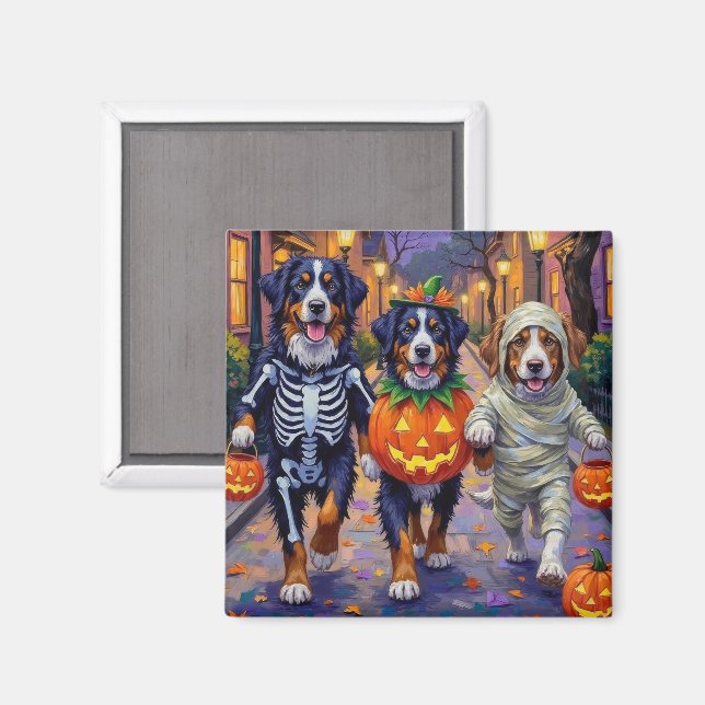 Bernese Mountain Trick-or-Treating In Halloween  Magnet (Front/Back)