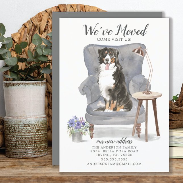 Bernese Mountain We've Moved Moving Announcement (Creator Uploaded)