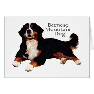 BERNESE Mt. Dog