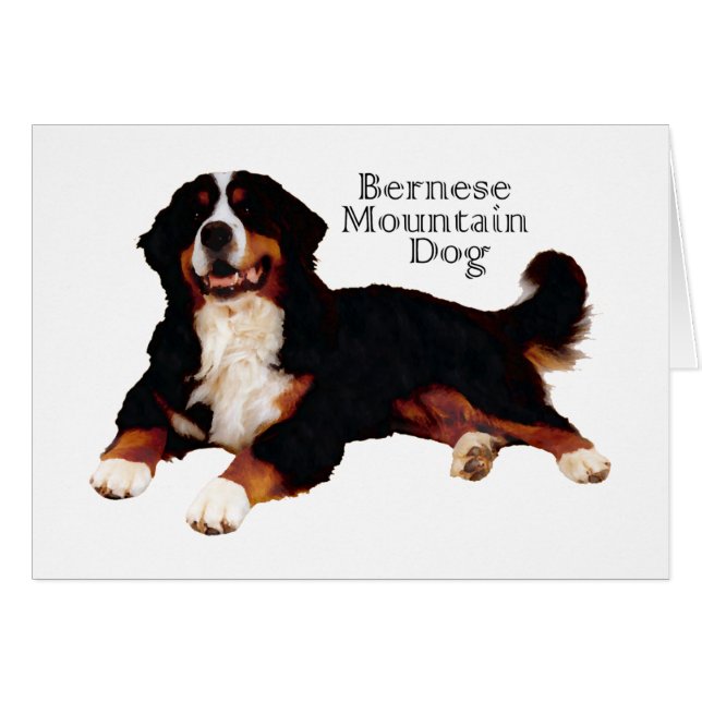 BERNESE Mt. Dog (Front Horizontal)
