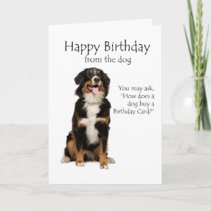 Bernese Mt. Dog Birthday Card