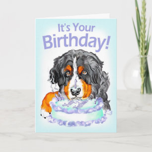 Bernese Mt Dog Cake Face Birthday Card