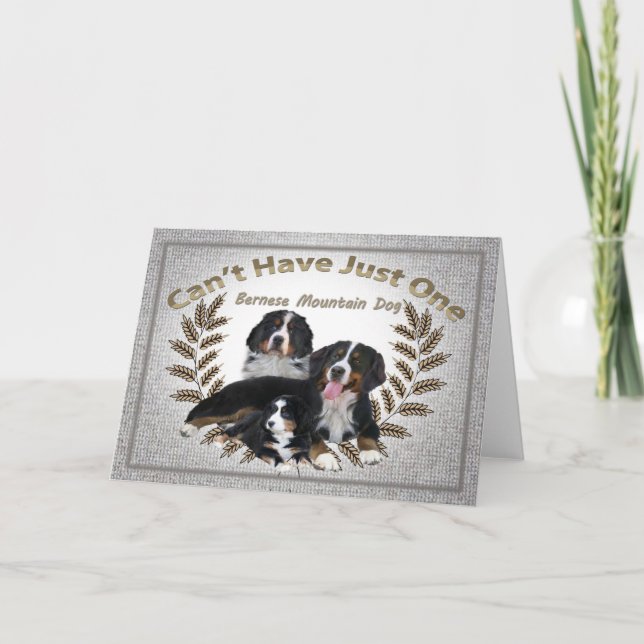 Bernese Mt. Dog Can't Have Just One Holiday Card (Front)