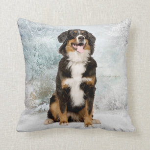 Bernese Mt. Dog Pillow