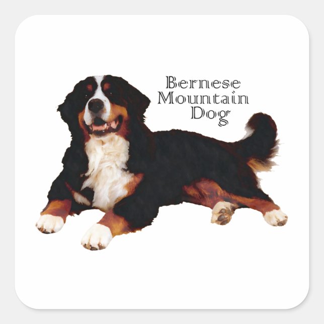 BERNESE Mt. Dog Square Sticker (Front)