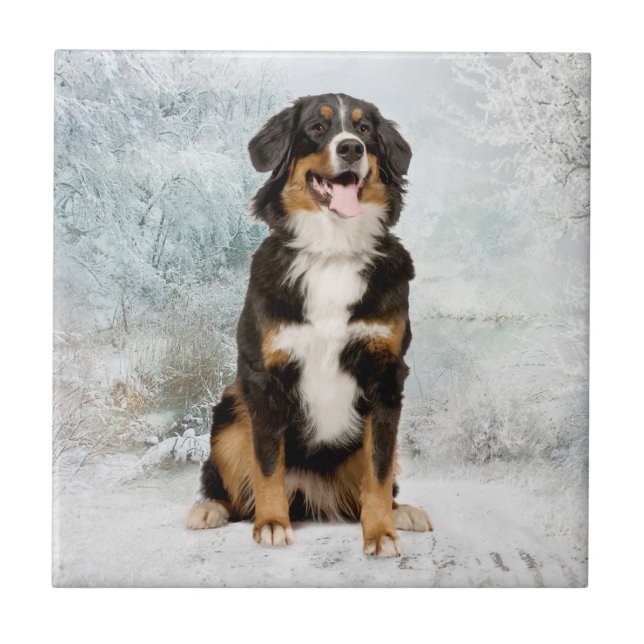 Bernese Mt. Dog Tile Coaster (Front)