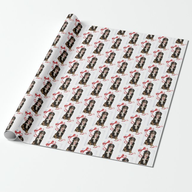 Bernese Mt. Dog Wrapping Paper (Unrolled)