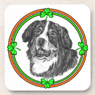 Bernese Mtn Dog St Patricks Coaster