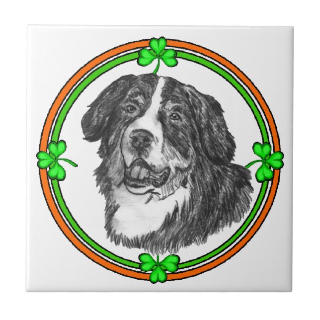 Bernese Mtn Dog St Patricks Tile (Front)