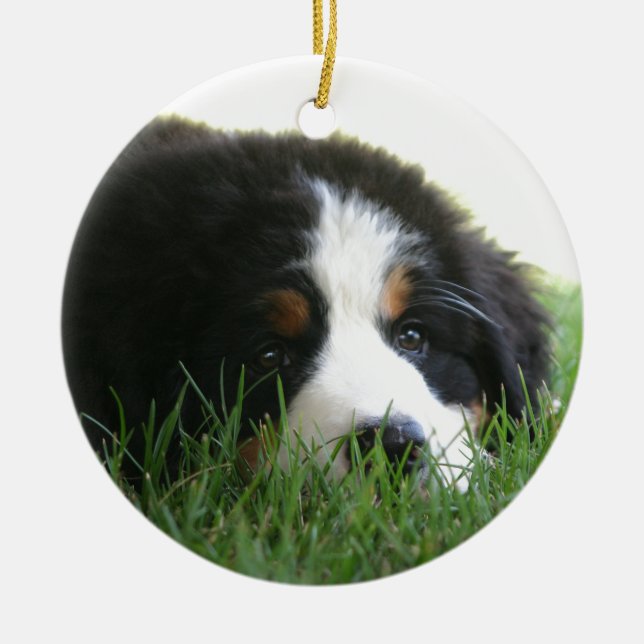 Bernese Puppy Ceramic Ornament (Front)