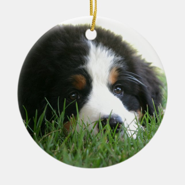 Bernese Puppy Ceramic Ornament (Front)