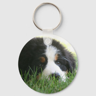 Bernese Puppy Key Ring