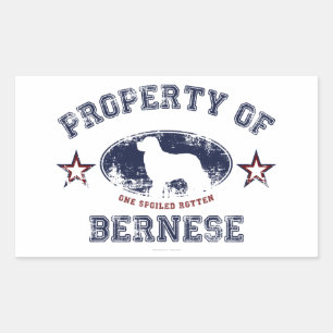 Bernese Rectangular Sticker