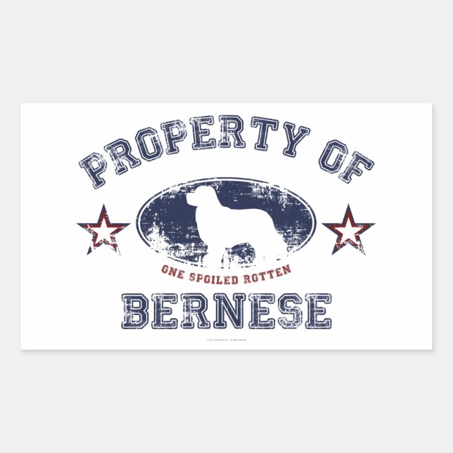 Bernese Rectangular Sticker (Front)