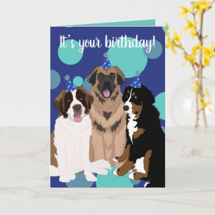 Bernese, Saint Bernard, Leonberger Birthday  Card