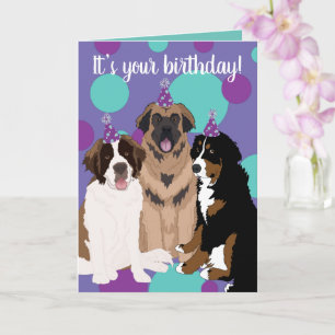 Bernese, Saint Bernard, Leonberger Birthday  Card