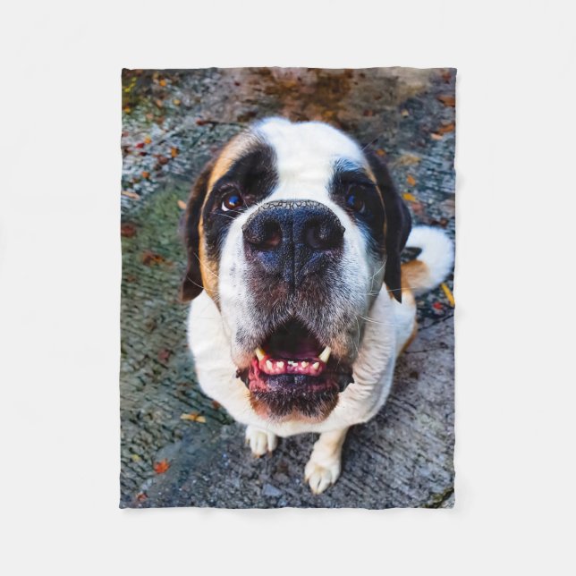 Bernhadn Fleece Blanket (Front)