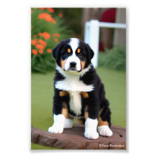 Bernice Mountain Puppy Satin Photo Enlargement Print