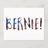 bernie bokeh