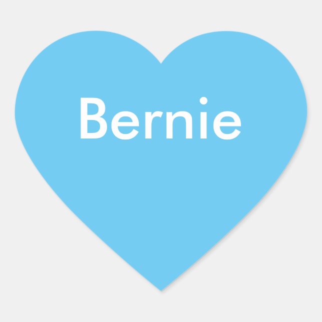 Bernie Bumper Sticker (Front)
