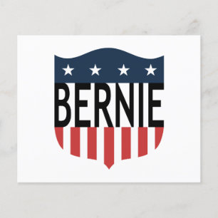 BERNIE stars and stripes