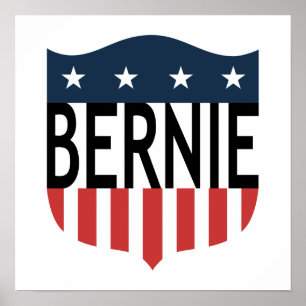 BERNIE stars and stripes Poster