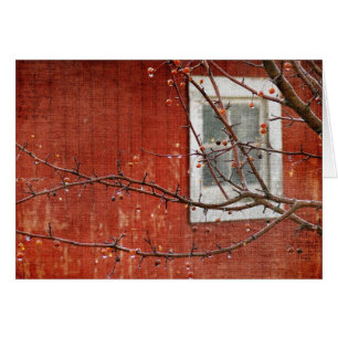 Berries and Barn