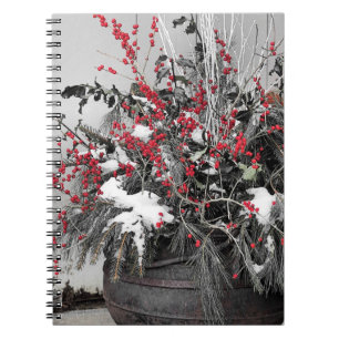 Berries and pines - notebook