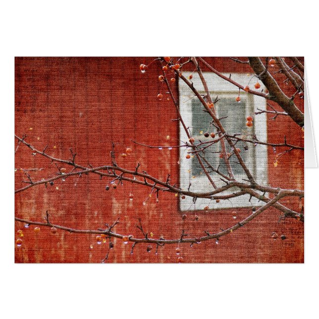 Berries and Red Barn (Front Horizontal)
