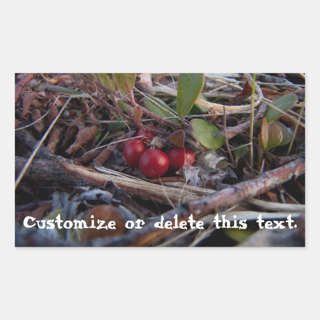 Berries and Twigs; Customisable Rectangular Sticker (Front)