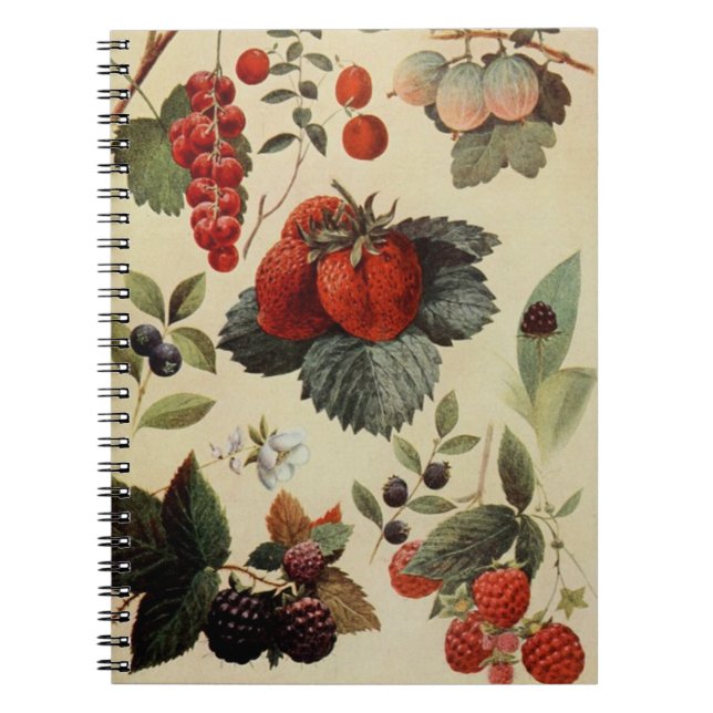 BERRIES BERRIES notebook (Front)