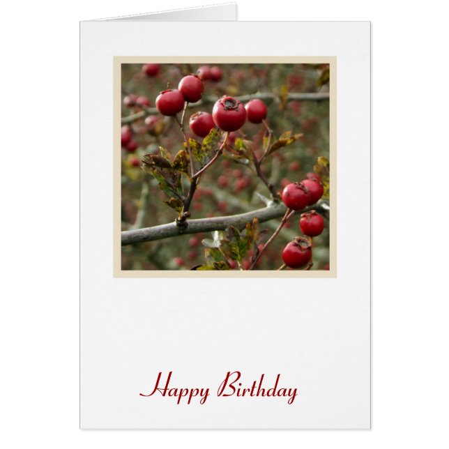 Berries Birthday Card (Front)